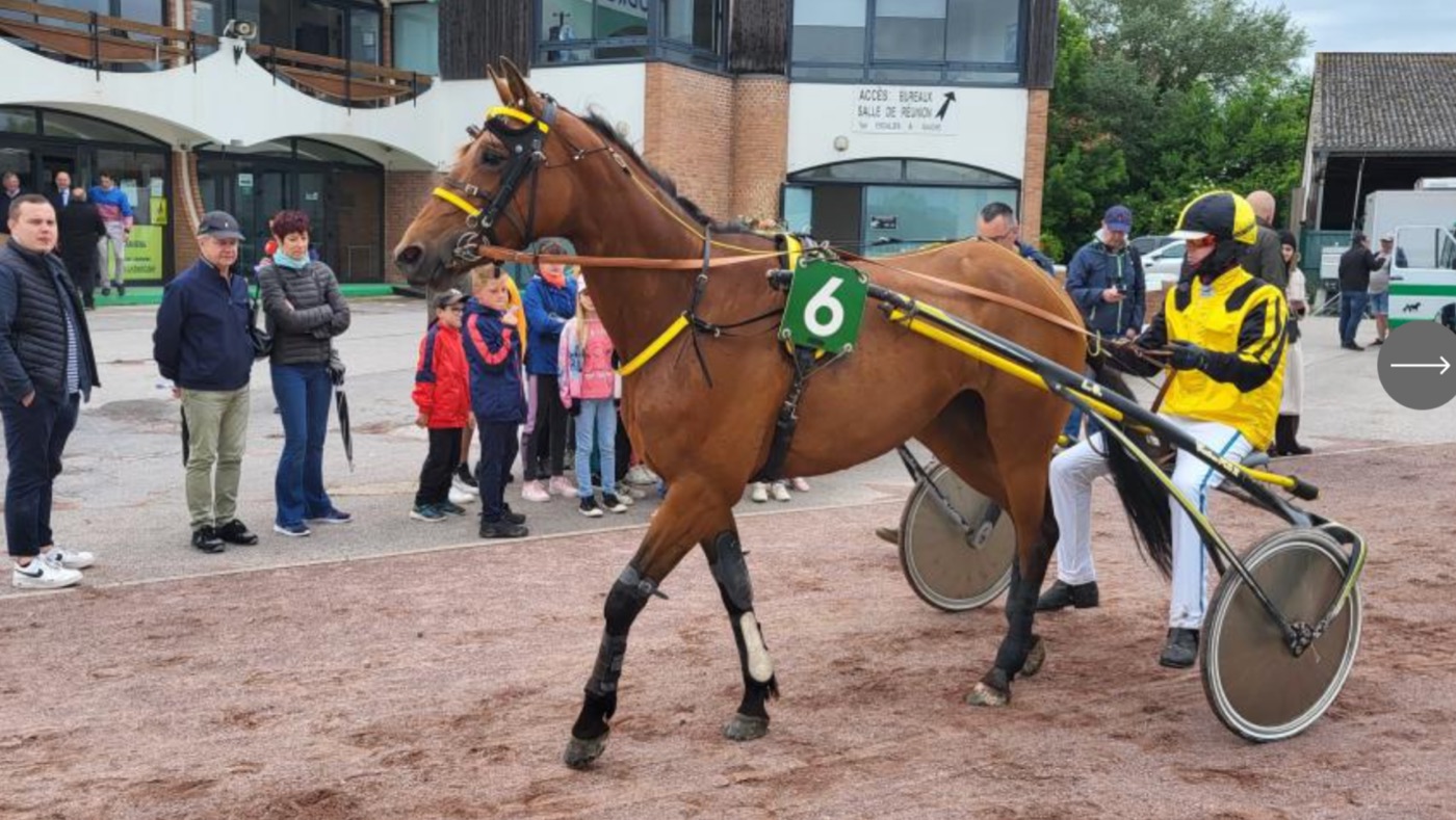 A Amiens, les trotteurs en piste ce samedi avec une opération bien-être équin