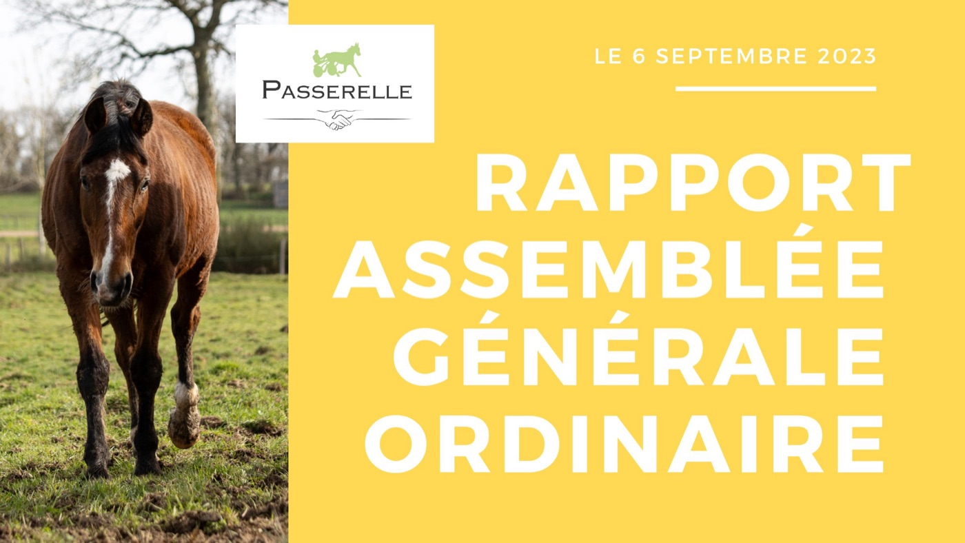 Compte rendu de l'Assemblée Générale Ordinaire de Passerelle en date du 6 septembre 2023