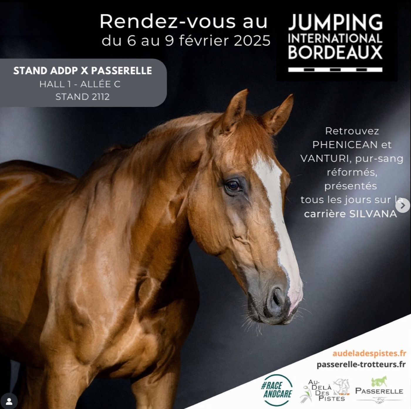 Jumping international de Bordeaux - ADDP & Passerelle représentent la reconversion des chevaux de courses