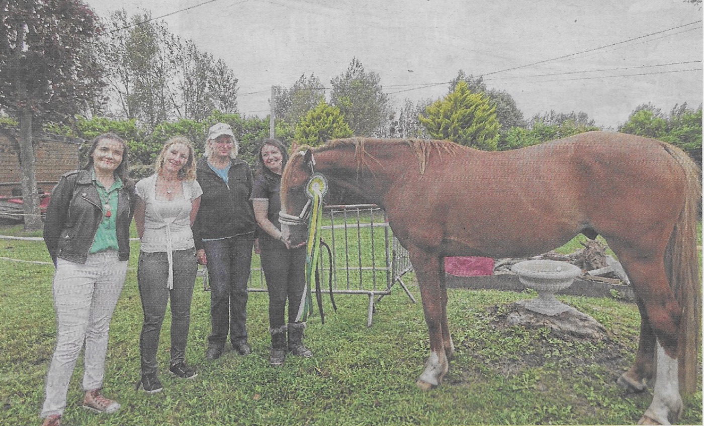 L'association Passerelle mène les chevaux vers leur deuxième vie