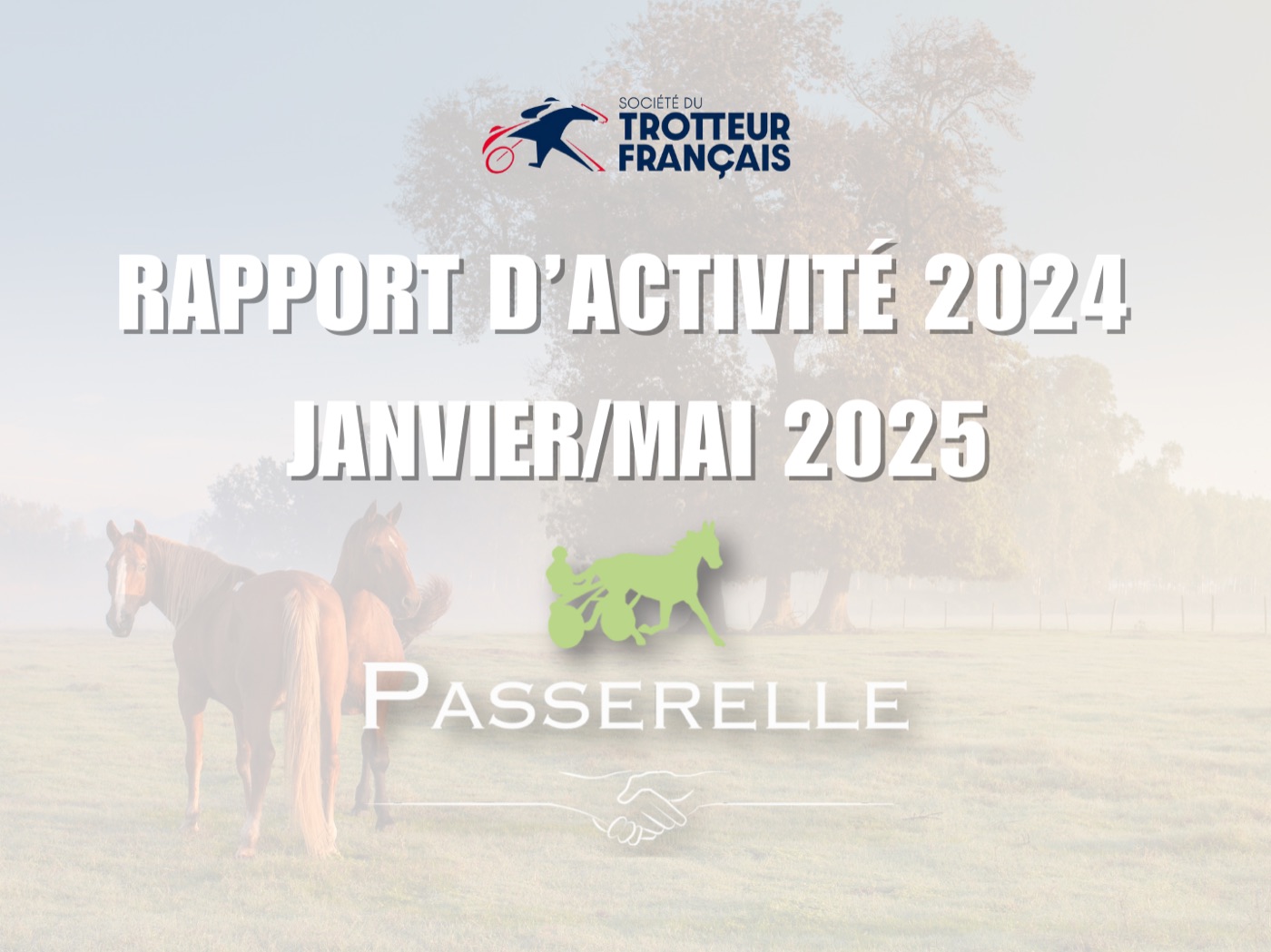 Rapport d'AG 2024/2025