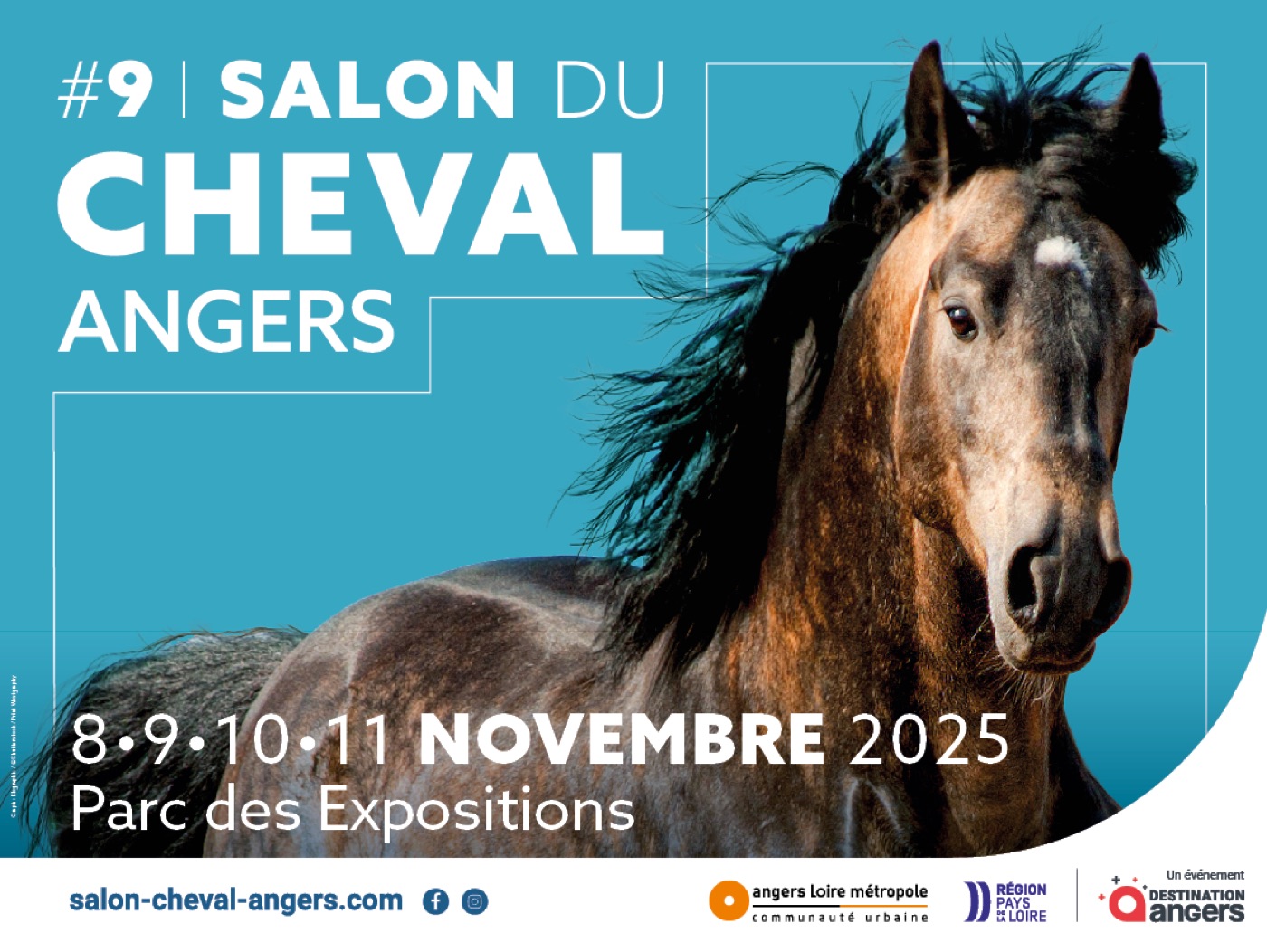 Toute la filière courses réunie sur un pôle dédié au Salon du Cheval d'Angers