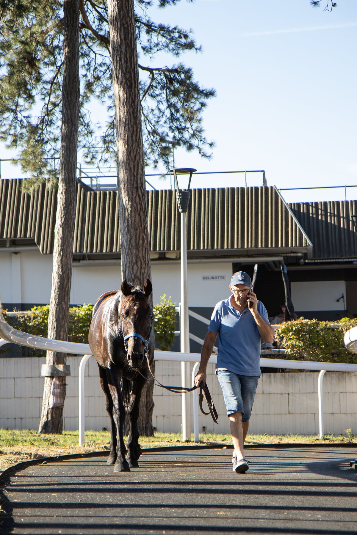 Un cheval accompagné dans les allées de l’hippodrome Paris-Vincennes