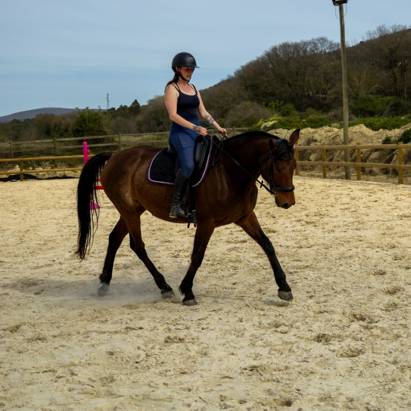 Darling des Mares