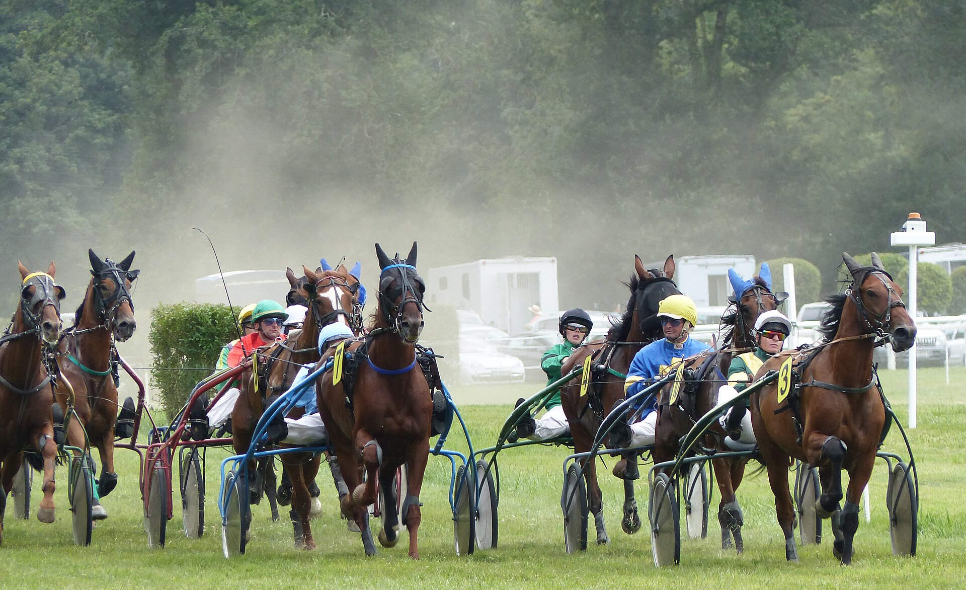 Trotteurs Français en course de trot attelé