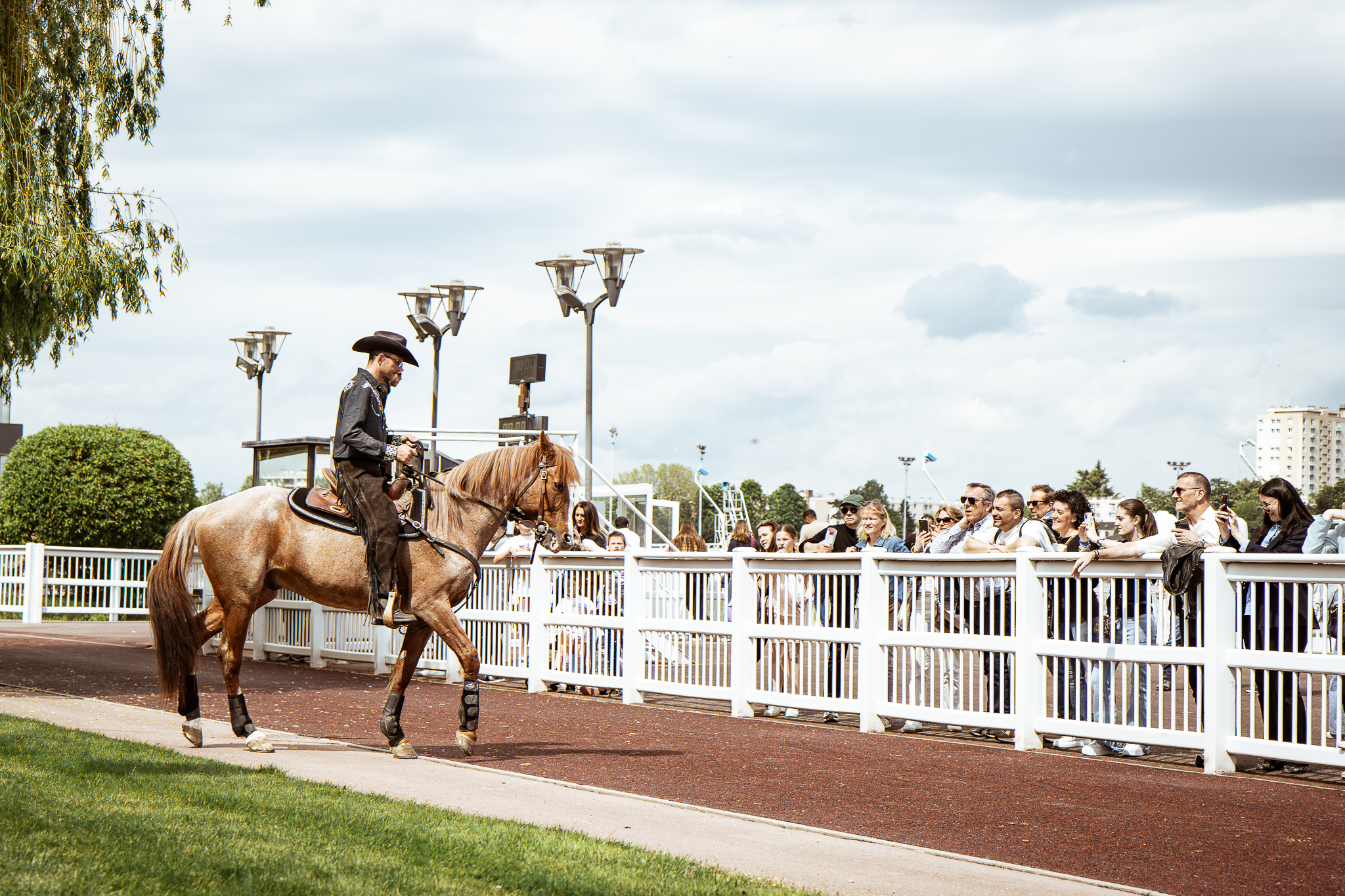 Cavalier et cheval devant le public à Enghien