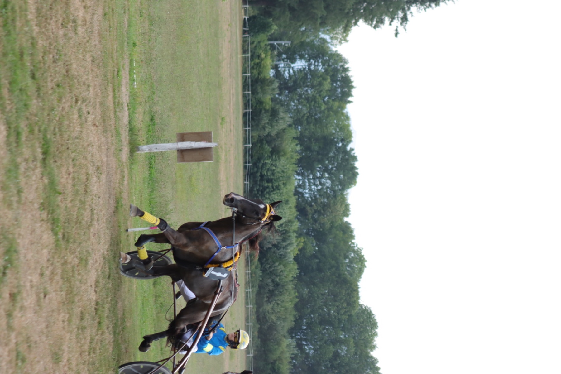 Le lauréat du Prix Passerelle Race & Care sur la piste de Lannemezan