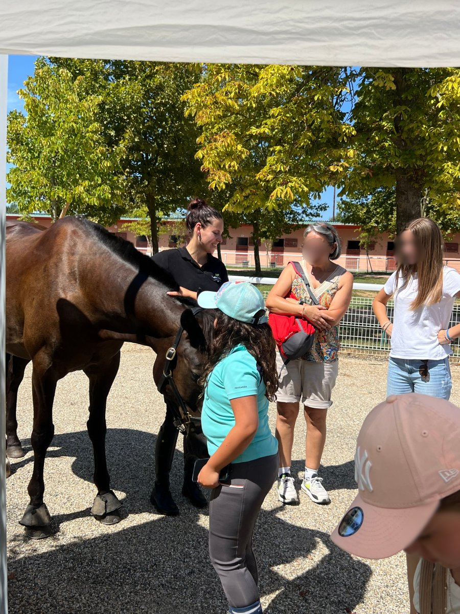 Échanges avec le public autour d’un cheval lors d’une journée #RaceAndCare