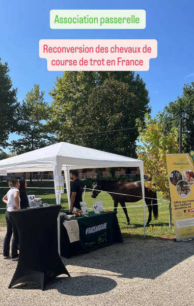 Animation équestre lors d’une journée #RaceAndCare
